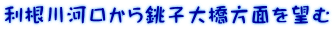 利根川河口から銚子大橋方面を望む